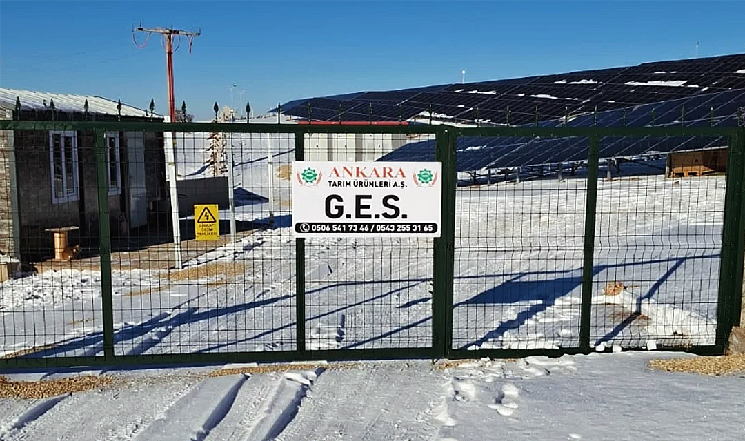 Ankara Tarım Ürünleri