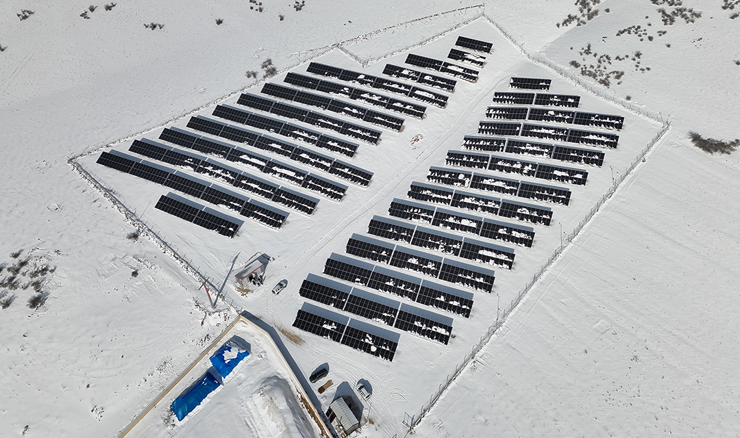 Ankara Tarım Ürünleri