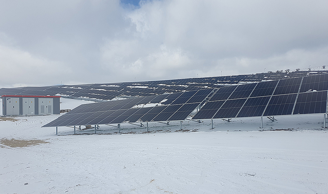 Ankara Tarım Ürünleri