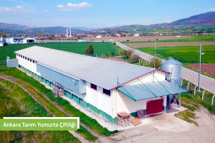 Ankara Tarım Ürünleri Yumurta Fabrikası